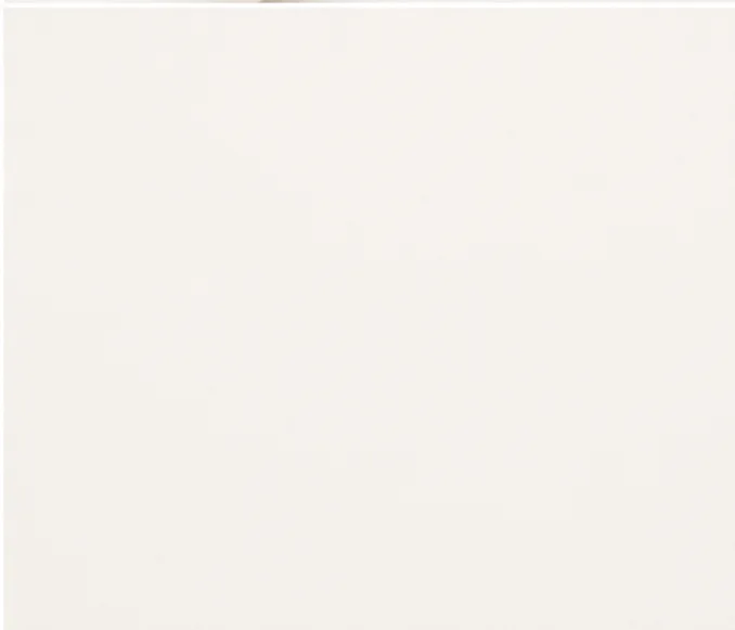 Ivory Cotton Satin Fabric Macro